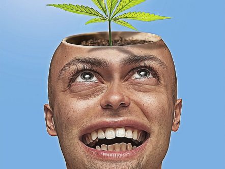 cannabis nella cefalea emicrania