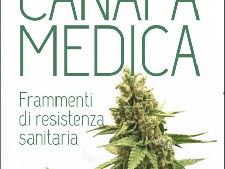 storie canapa medica