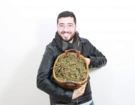 titolazione della cannabis