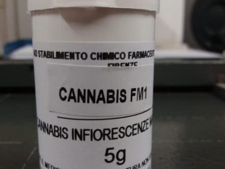cannabis FM1