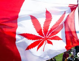 sistema cannabis terapeutica canadese